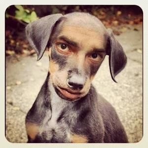 Meet your Posher, Shakelia